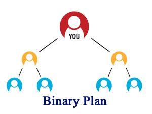 Binary MLM Script